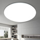 Micro ceiling lamp LED super bright home living room bedroom kitchen lamp round staircase balcony simple 36 watts 33CM white light super bright