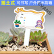Xushansi Kindergarten Simulation Pot Brand Gardening Simulation Flower Pot Simulation Label Signage Succulent Conservation Brand DIY Handmade YHCD-02 10x16cm