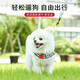拉维佩特（LOVINGPET） 狗狗牵引绳胸背带 可调节泰迪狗绳子小型犬牵引绳幼犬猫咪牵引绳 粉色 S 3-8斤左右 胸围30-50cm