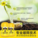 Stanley Flower Fertilizer household general-purpose nitrogen, phosphorus and potassium compound fertilizer for succulent potted organic flowers slow-release fertilizer 450g