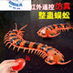 
Feidule children's electric remote control spider toy crawling simulation small animals 4-6 years old boy and girl yellow and black remote control centipede 9901+ screwdriver official