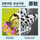 原鼓正品crg067硒鼓适佳能LBP631CW/633/632/MF655/657Cdw/651Cw粉盒 4色套装【原鼓正品硒鼓】不含芯片-标准容量