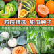 Emerald melon seeds, white thin-skinned cantaloupe seeds, four-season vegetable seeds, crispy melon seeds, early-ripening horn melons, one pack of each of 9 cantaloupe types, 38 capsules per pack + fertilizer