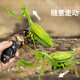 Qisen Fernbedienung Mantis Elektrische Simulation Kinderspielzeug Streich kreativer Artefakt Kakerlake 3 Jungen können Krabbeltiere Fernbedienungskontrolle Lady Käfer Red 9922+ Schraubendreher Offizieller Standard bewegen