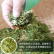 First Jiangnan Green Tea Longjing Special 200g2025 New Tea Mingzhou Tea Treasure Paper Pack Drink High-end Gifts