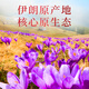 
Nutritional Story Iranian Saffron 5g box Selected saffron full length red silk saffron to send mother to girlfriend to wife
