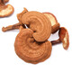 Qin Dingtai purple Ganoderma lucidum pruning Changbai Mountain Ganoderma lucidum natural red Ganoderma lucidum deep mountains basswood Linzhi soaked in wine and soup purple zhi wood linden red Ganoderma lucidum / Changbai Mountain direct hair 200 grams