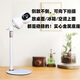 Sanding Home Intelligent Überwachungskamera-Kamera Klammer ist geeignet für C700 Pant Edition 2K C6C HQ8 TA3 Innenfreier Schlagfreier weißer Desktop-Überwachungshalterung White Metal Desktop-Klammer Xiaomi Spezialbasis