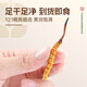 Yuanjiang grass Cordyceps sinensis high-altitude new dried cordyceps gift box delivery to leaders and elders 3 pieces/g 5 grams [source warming and supplement]