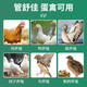 Animal Husbandry (MUPIN) Animal Husbandry Guanshujia Oviduct Kang Laying Chicken Oviductitis Duck Goose Quail Peritonitis Non-antibiotic Feed Additive Guanshujia 20Jin Jin equal to 0.5kg 10 bags