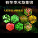 Yunfeng Hairui Water Grass Living Lazy Grass Fish Tank Landscape Living Water Grass Set Fish Tank Water Grass has stems and middle back scene real water grass [Good and easy to live] Red Butterfly (5 groups)