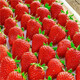 Jingmi Dandong Strawberry 99 Beauty Cream Fruit Gift Box Fresh Fresh Net Weight 2Jin Jin is equal to 0.5kg, single fruit 30g + straight from the source