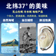 Popular Rushan Oysters, Fresh Oysters, Extra Large Seafood Oysters, 5 Jin Jin is equal to 0.5 kg, whole box of fresh oysters, 4 Jin Jin is equal to 0.5 kg, 3XL size, 10-16 pcs