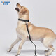 DOGNESS Dog Leash Dog Leash Dog Chain Collar Medium and Large Dog Labrador Shiba Inu Golden Retriever Border Collie Black L