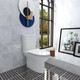 American standard wall drainage toilet flushing type straight flush toilet anti-blocking and displacement drainage and odorproof toilet 2629 Direct flushing toilet 2629 [190 pit distance] wall drainage