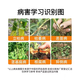 30% metalaxalin, soil disinfectant, fungicide pesticide, special medicine for root rot, blight, damping-off, 1000g*2 bottles