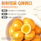 Yanjinpu quail egg mixed flavor about 400g about 60 pieces salt-baked fragrant braised snack food selenium-rich braised egg snack gift pack