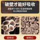 敖东 破壁灵芝孢子粉颗粒增强免疫力0.9g*60/袋 父亲节礼盒探病保健品