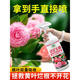 Camellia fertilizer special fertilizer non-dilution nutrient solution camellia jasmine gardenia azalea acid-loving plant potted home Camellia non-dilution nutrient solution 500ml*1 bottle