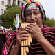 Oin Panflute Perú Indio 23 toneladas de 13 toneladas de 13 toneladas Roda Doble Estudiante Adulto Inca National Instrument Instrument Fila de 13 toneladas G-Tune