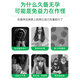 Babeorn美国进口孕乐乐牛初乳 粉核心免疫球蛋白成人胶囊备孕好吸收 60粒/1瓶