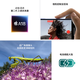Apple/苹果 iPhone 16 Plus (A3291) 支持移动电信联通5G双卡双待手机 黑色 256G 全国联保 官方标配