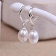 Yuelanshi Imitation Pearl Earrings Women's Long Style Earrings Fashion Earrings Bestie's Same Style Earrings 88 Long Imitation Pearl Earrings