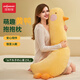 JIAYUNBAO H-TYPE MIGNES ET INTÉRISTANTES Femmes enceintes Oreiller côté coussi