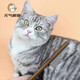 Yuanqi cute pet comb cat comb dog comb hair brush artifact stainless steel flea comb dog hair removal comb to remove floating hair, 45 needles with sparse teeth (20*3.1cm)