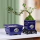 Yuxuantang Chinese ink style ceramic retro flower pot household desktop succulent pots Wenzhu June snow Clivia landscape pot YYX1429 with base