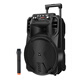 Newman N509 Square Dance Audio Mobile Home Outdoor Karaoke Bluetooth Speaker Trolley Portable Heavy Bass Large Volume Super Long Battery Life with Microphone 12 Inch
