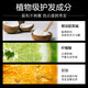BAILUHUICOCO Shampoo Perfume Flavor Oil Control Cleansing Fluffy Long-lasting Fragrant Shampoo Male and Women 800ml