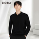 Ziozia [unter Jiumuwang] Herbst Herren Polo Neck -Pullover gestrickt