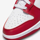 NIKE耐克Dunk Low Retro白红 男款 低帮轻便休闲板鞋 DD1391-602 40