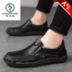 Pájaro carpintero zapatos de hombre de mediana edad de gran tamaño zapatos de papá