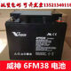 XMSJ三瑞威神6FM38CP125012V38A24A17A7A9A5A消防主机电梯UPS蓄电 12V24ah CP12240H