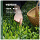 陈一凡 鸭屎香凤凰单枞 茶叶 乌龙茶新茶 正宗潮州单丛鸭屎香乌龙茶 4包500g