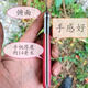 进口德国进口钢14116高硬度嫁接刀专用可折叠芽接刀 双刃左右手通用 德国进口钢1.4116韧性好
