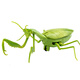 Qisen Fernbedienung Mantis Elektrische Simulation Kinderspielzeug Streich kreativer Artefakt Kakerlake 3 Jungen können Krabbeltiere Fernbedienungskontrolle Lady Käfer Red 9922+ Schraubendreher Offizieller Standard bewegen