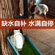 Xushansi's new chicken, duck, goose and poultry automatic waterer, water feeder, duck drinking water tank, cattle and sheep breeding equipment and supplies, third generation 4-point (20mm) upper water inlet