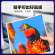 彩格CRG-069硒鼓 适用佳能mf752cdw硒鼓 LBP673Cdw LBP673Cdn 674Cx mf756Cx打印机墨盒 红色标准版带芯片