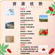 Qi Sange Ningxia Zhongning wolfberry free wash red wolfberry wolfberry wolfberry tea New Year gift gifts 250g*4 cans