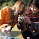 Fuji instax instant imaging camera mini Evo [dream making era] gift box set