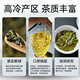 天乔（TIANQIAO） 台湾大禹岭茶台湾高山茶 清香型乌龙茶 秘境系列品质口粮茶 新茶 单包150克