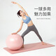 Wilkie yoga ball pregnant women delivery ball midwife fitness ball children's sensory training baby coaxing to sleep radish squat small Pilates 55CM light pink [air pump air exhaust plug]