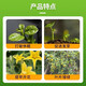 Zheng's Chemical 98% sodium nitrophenolate original powder plant growth regulator flower and fruit preserving pesticide 1kg