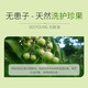滋源（seeyoung）生姜防脱育发洗发水无患子无硅油控油洗头水膏洗发露轻盈蓬松去屑 控油洗发水265ml送200ml