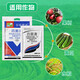 Bainonstar 75% chlorothalonil blue powder fruit trees, vegetables and flowers downy mildew powdery mildew broad spectrum fungicide 1000g