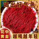 Beijing Tongrentang [Black Friday] Extra-grade saffron authentic Iranian non-Tibet 0.3g (gifts for elders) imported original First new flower - double supplement of qi and blood First new flower: 1 bottle of saffron [preliminary conditioning