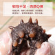Dongshang Yupin Sea Cucumber Ready-to-Eat Dalian Fresh Wild Liao Sea Cucumber Solid 75% Seafood Gift Box Single New Year Goods 500g 16-19 Pieces/Jin Jin is equal to 0.5 kg